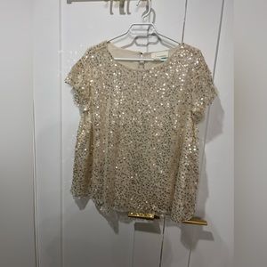 NWOT Sequin Top 2X Anthropologie - fully lined gorgeous top
